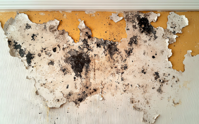 Common Drywall Problems: Tips and Prevention Methods